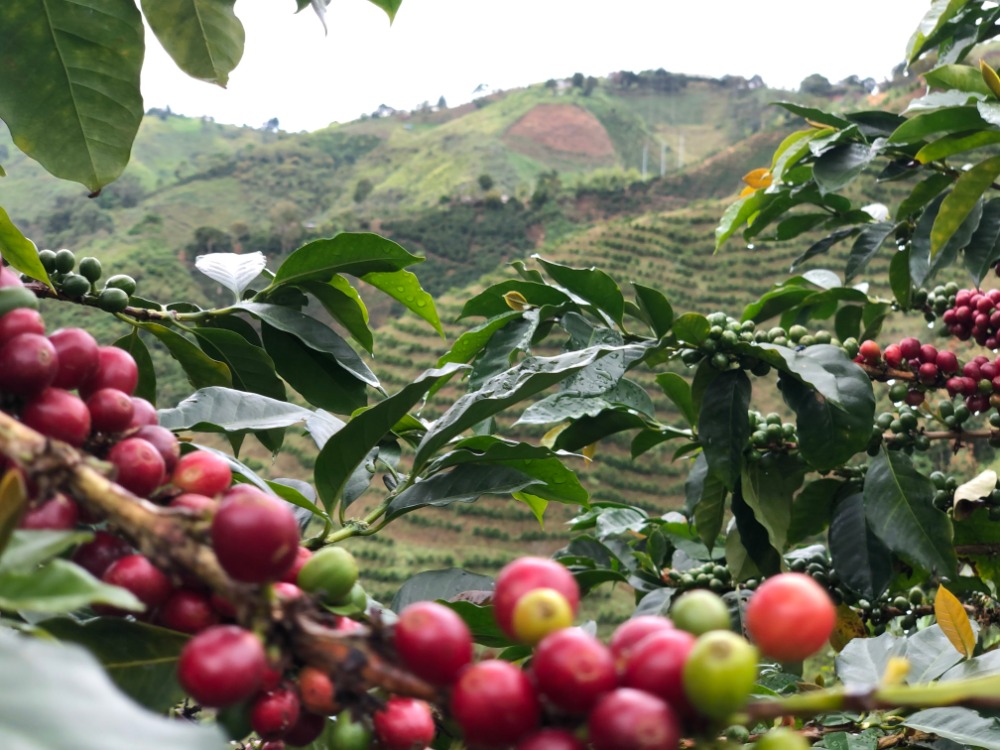 最高の「COLOMBIA」を