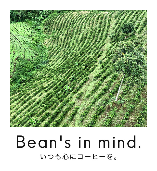 株式会社lohas beans